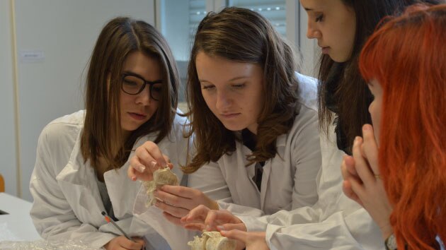 Human bones and mummification - activity sheet for secondary | British